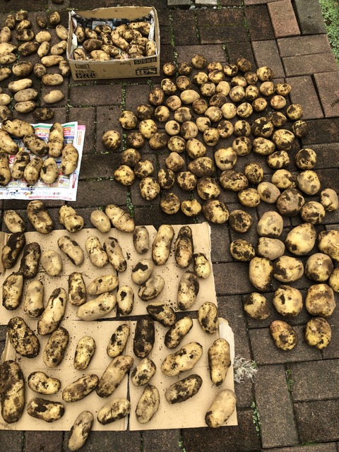 102211C6-F414-495D-9889-D61E3F75E943