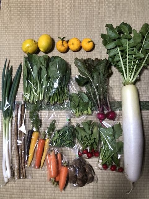 51D5BD3A-79FF-4D4A-811E-05BB3B30B9F1