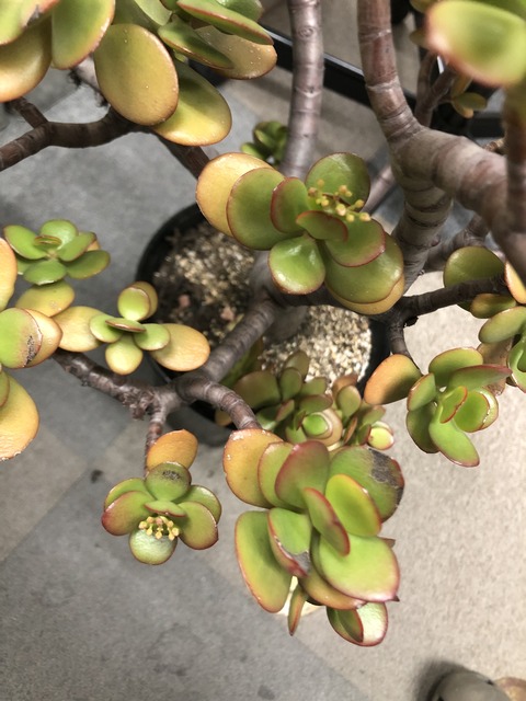 34A005E8-B80F-4813-9E9A-325F77491332