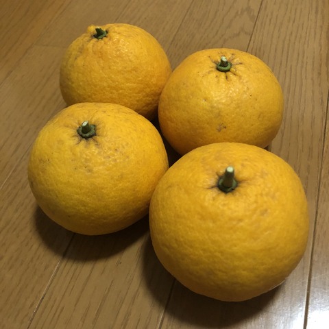 7BE49176-EB63-49C1-95A3-1D0EE177060F