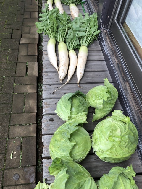 F9EE969E-EACD-4227-8047-A1FC056B1041