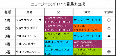 ニュージーランドT2014結果