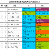 阪神大賞典携帯用出馬表