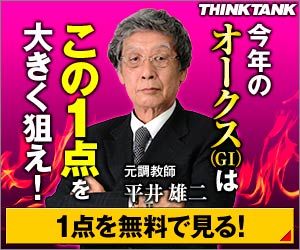 シンクタンク:オークス300_250