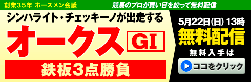 ホースメン会議:オークス490_160