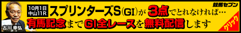 競馬セブンスプリンターズ