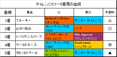 チャレンジカップ2015結果