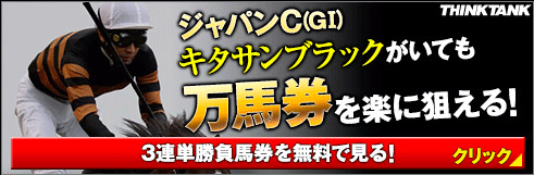 シンクタンクジャパンカップ
