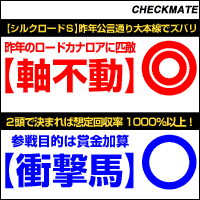 チェックメイト:シルクロードS200-200