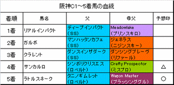 阪神カップ2013結果