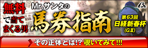 暴露王:日経新春杯490_160
