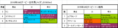 UAEダービー2016