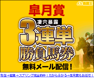 暴露王:皐月賞300_250