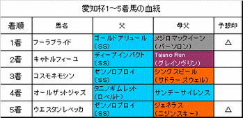 愛知杯2013結果