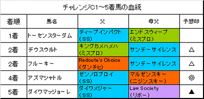 チャレンジカップ2014結果