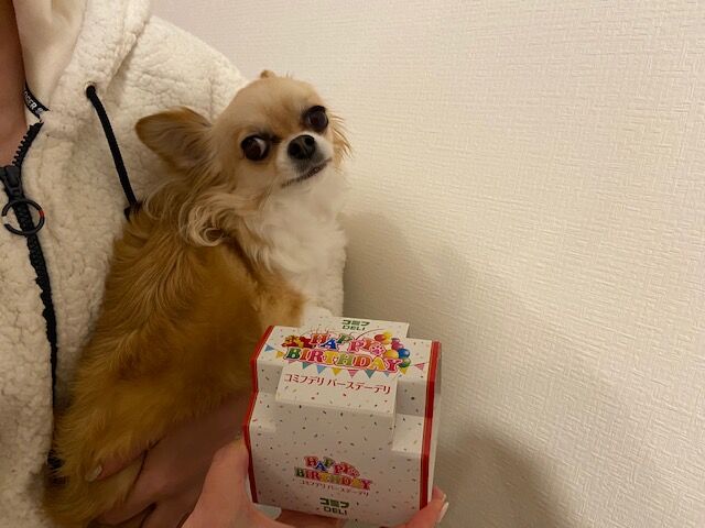 写真加工アプリ サン工芸のつぶやき 写真加工アプリ サン工芸のつぶやき