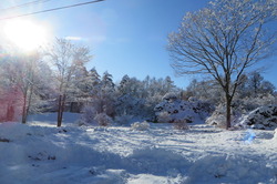 ��2019.12.23��