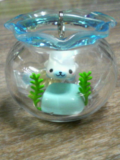 まめゴマ飼育セット① : sunny style