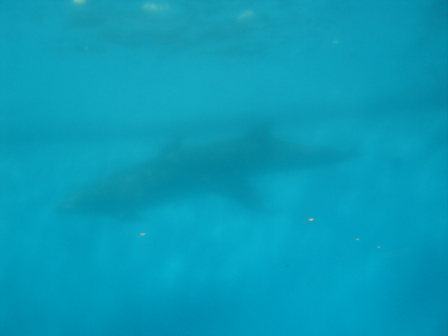 ������ǣ�塡����������