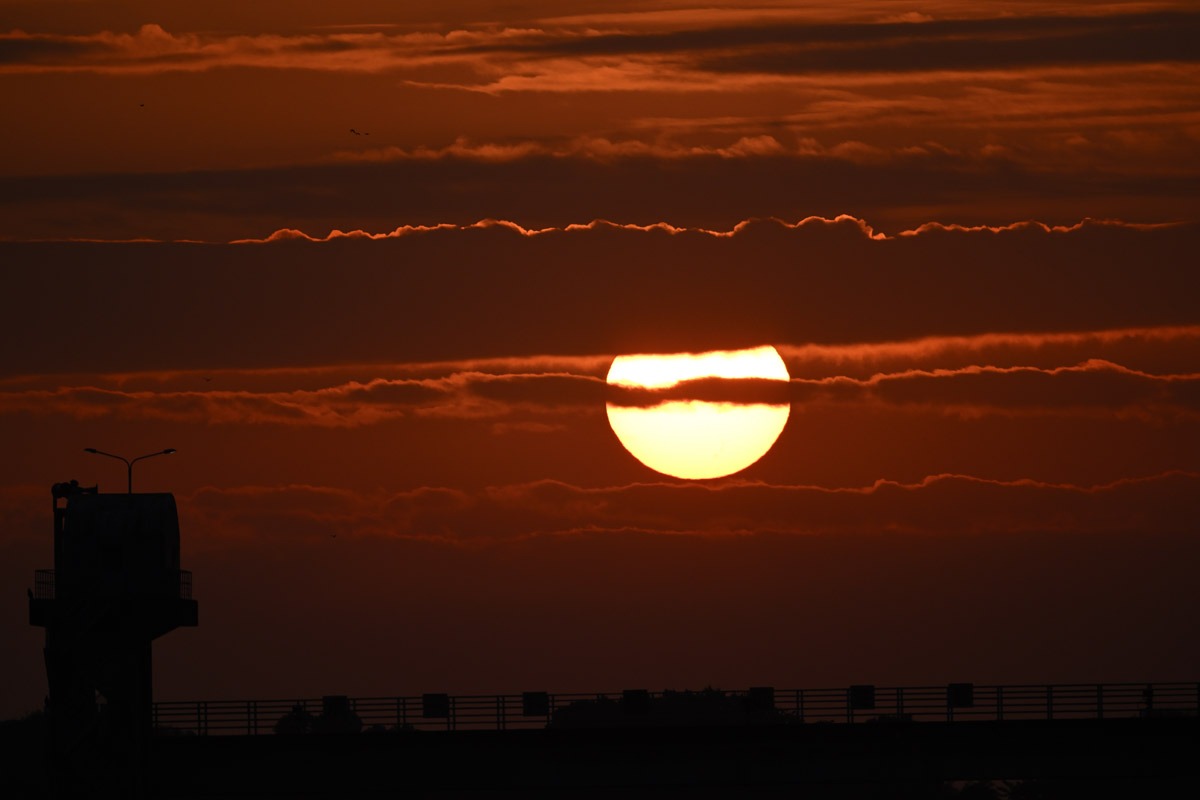 DSC_6648