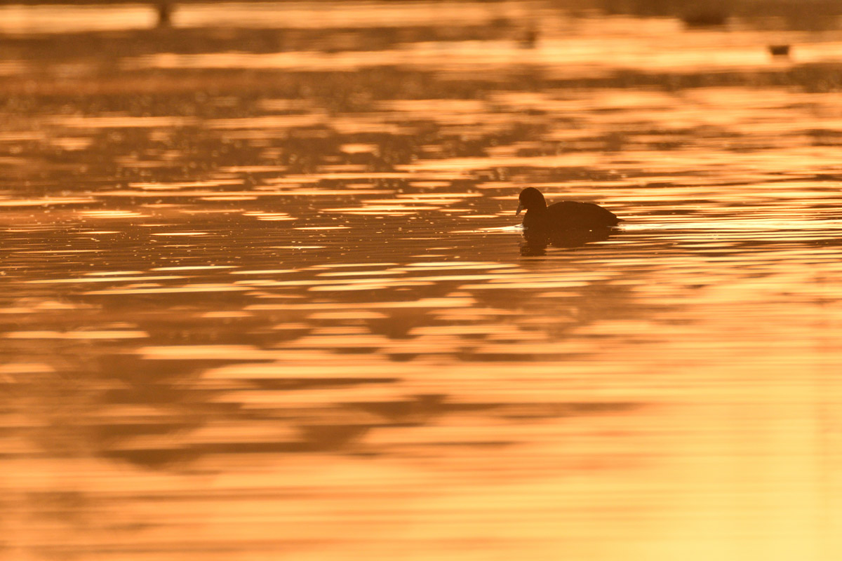 DSC_2782