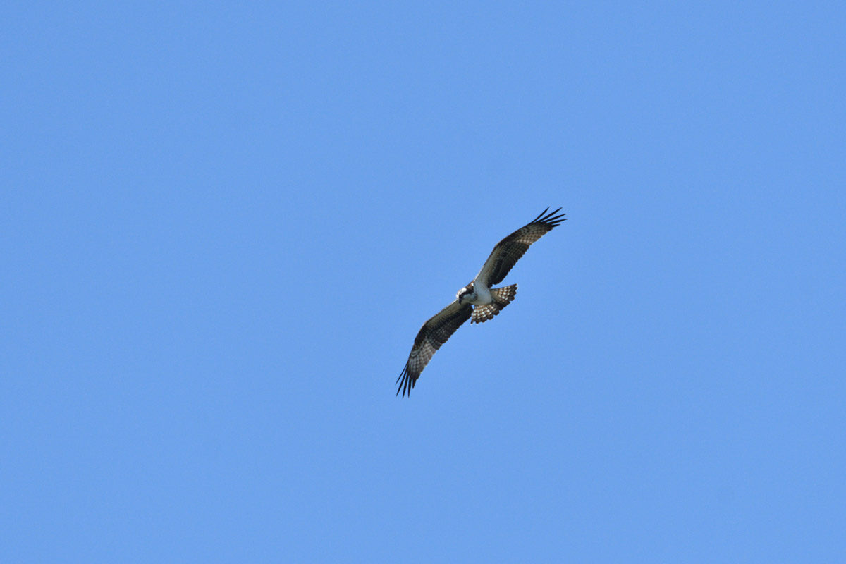 DSC_3202