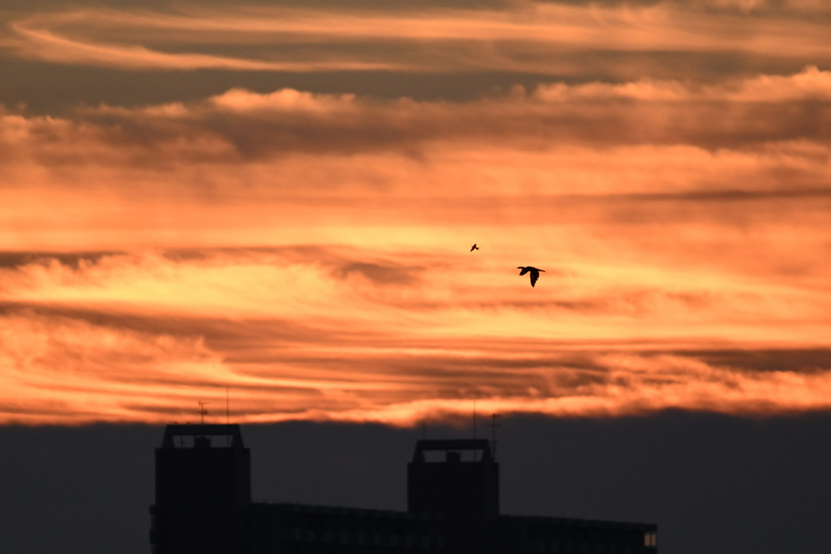 DSC_8407