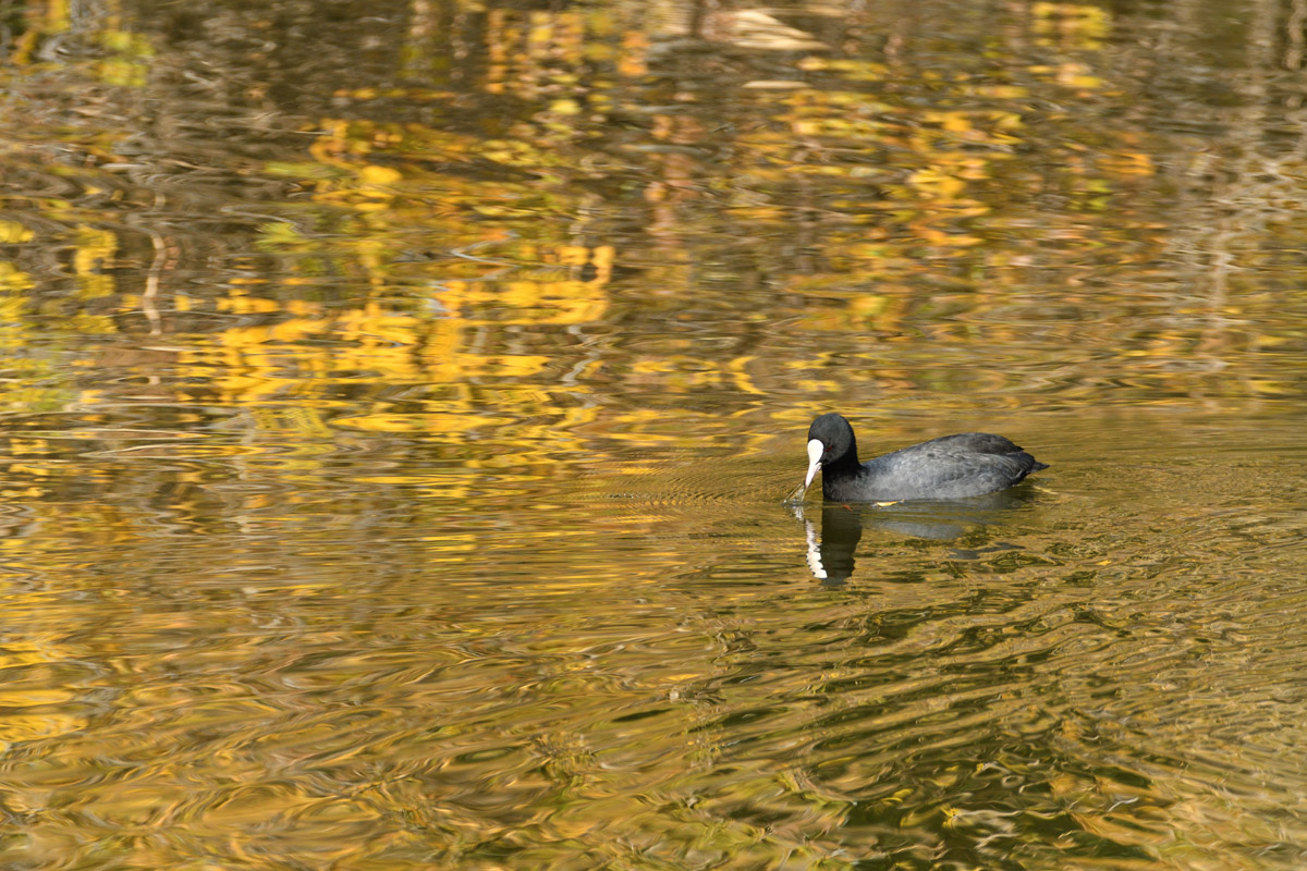 DSC_8475