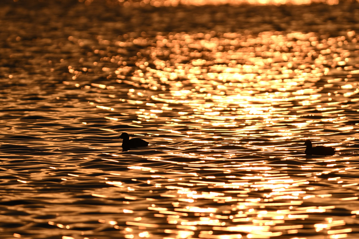 DSC_6823