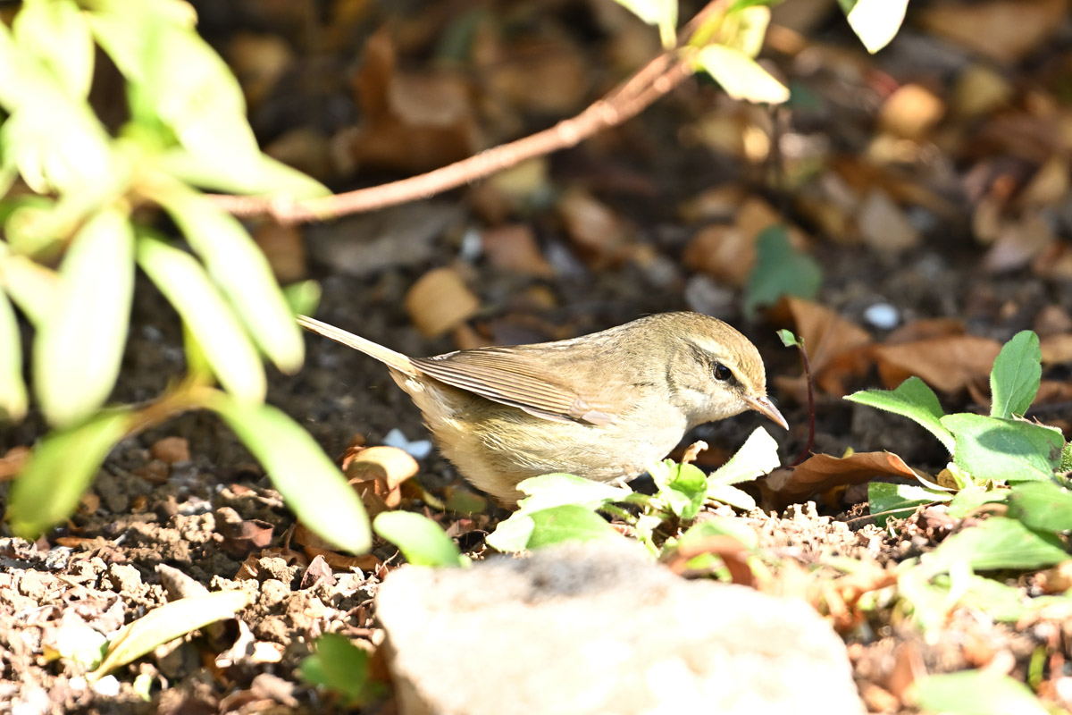 DSC_1029