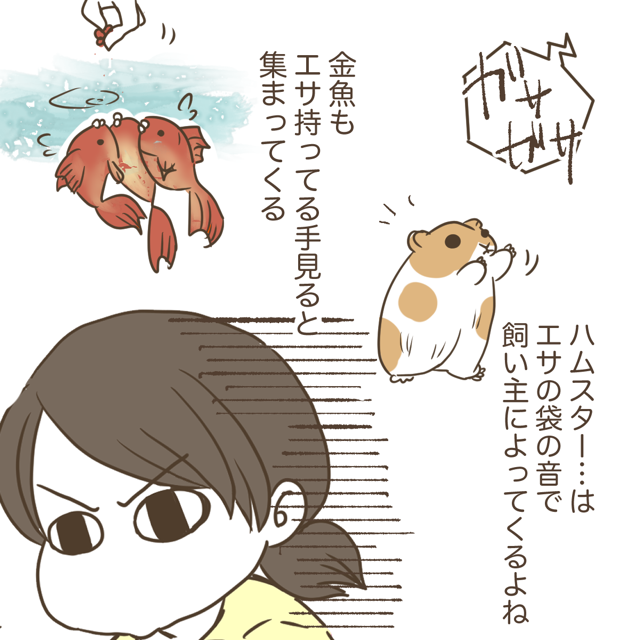 後追い 人見知りをしない子です 猫っぽい あしたはれるかな 自閉症サニーちゃんとadhdママ日記