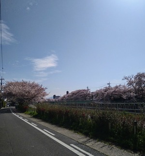 2022.4.6¤µ¤¯¤é1