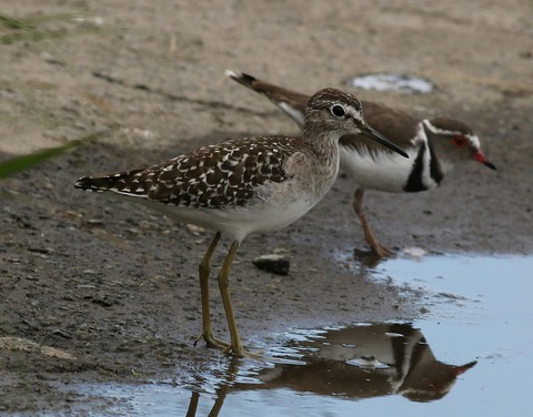 pexels-dkeats-33216033