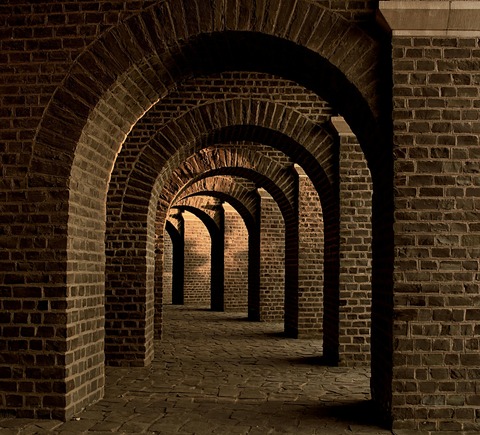 pexels-pixabay-60573