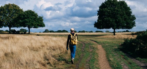 pexels-conojeghuo-211047