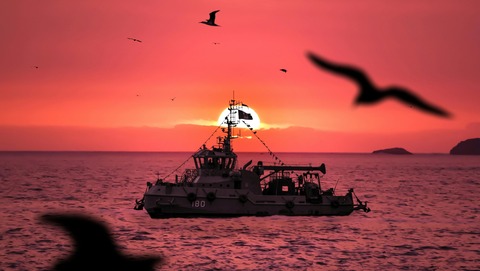 pexels-diego-orellano-soto-1765281003-28344981