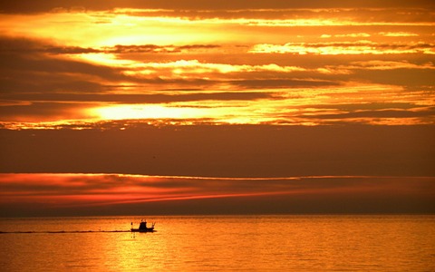 pexels-heinz-klier-261981-12000454