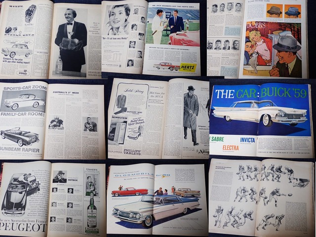 P6110109 - コピー (5) - コピー - コピー