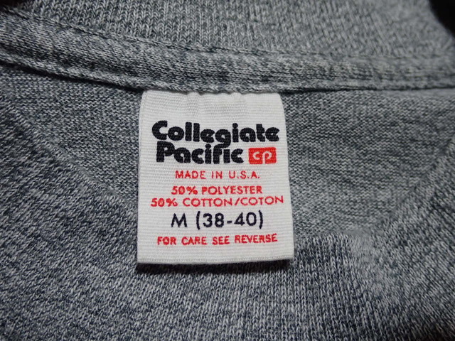 P4137248