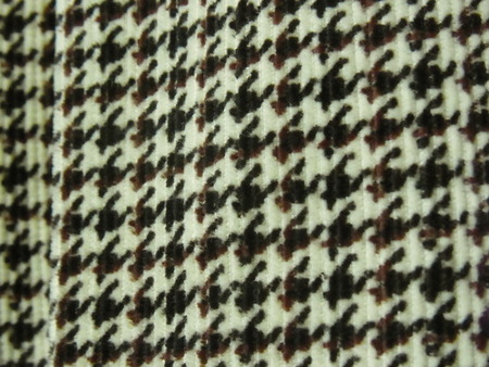 RIMG0861