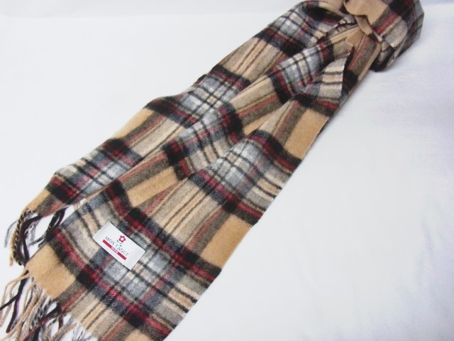 RIMG0251