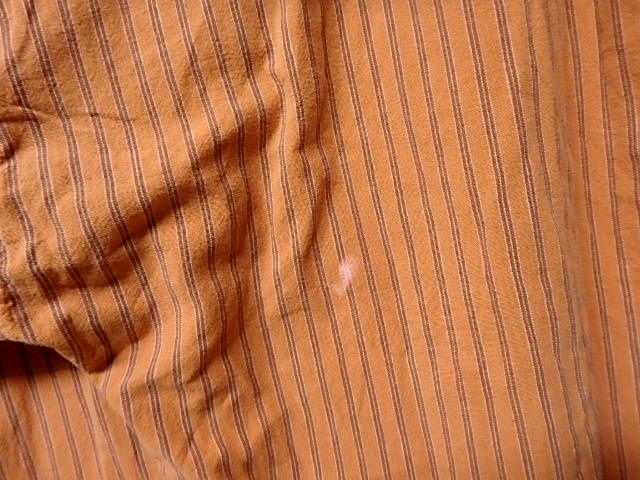 P4030101