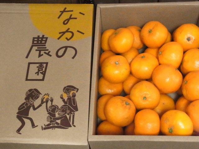 RIMG0941