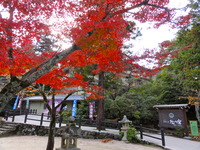 DSC00922