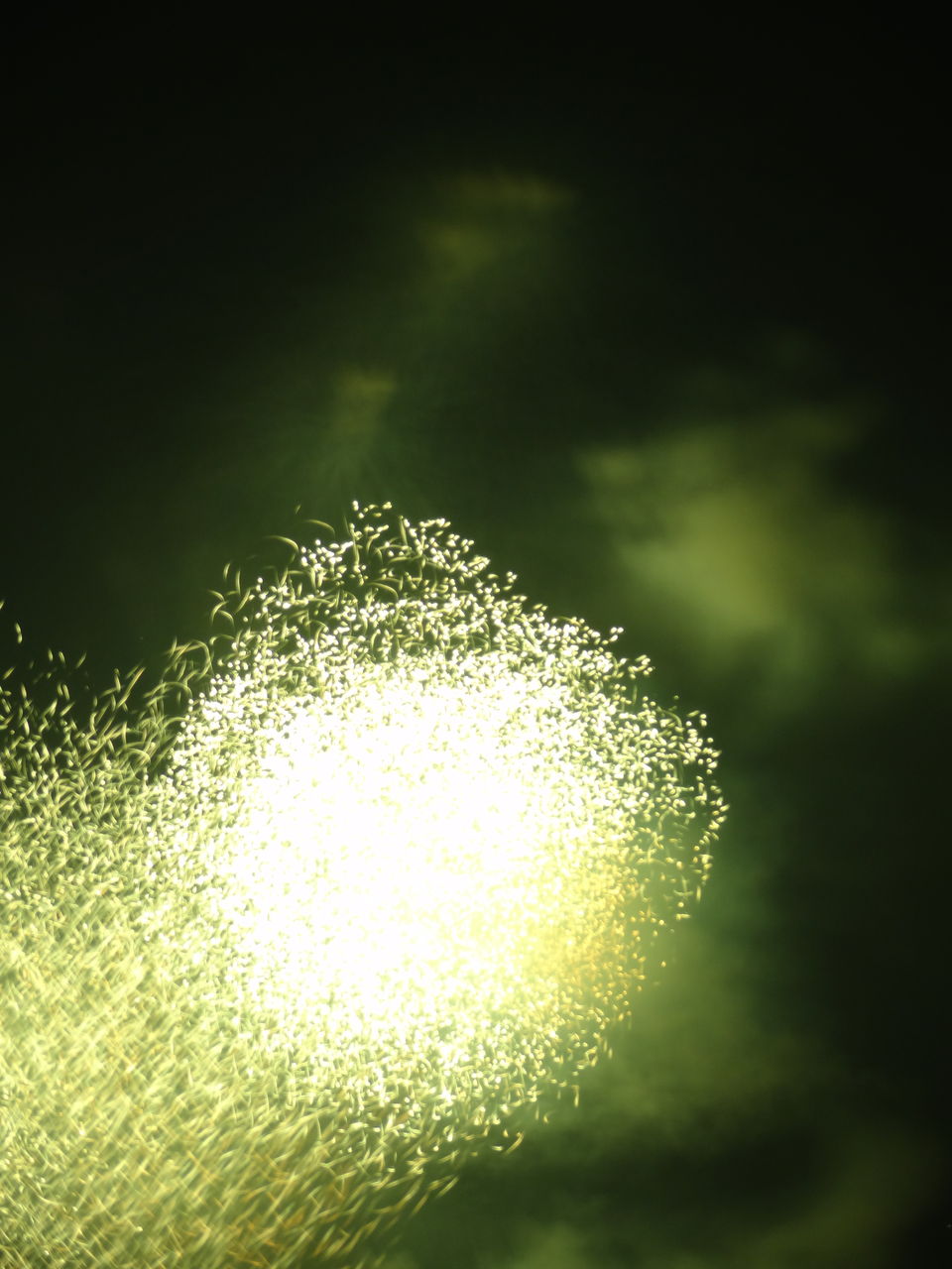 高松お盆迎えて Sunqbabaブログ