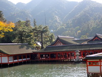 DSC00941