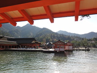 DSC00942
