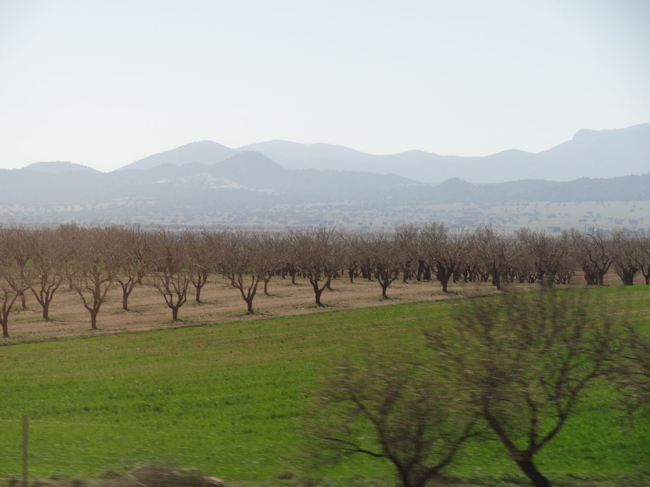 スペインの風景グラナダへ Sunqbabaブログ
