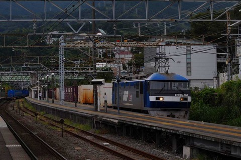 DSC_7387 (2)s-