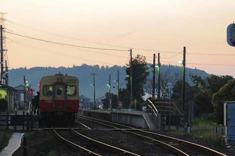 DSC_3362s-